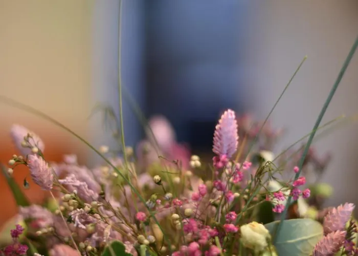 Проживание в семье Bugrane *