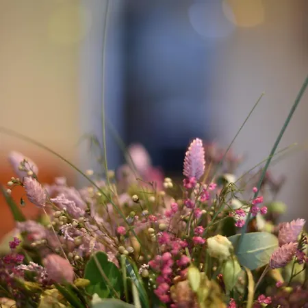 בית אירוח Bugrane *